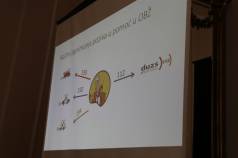 IMG 7424